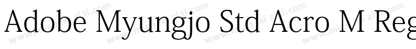 Adobe Myungjo Std Acro M Regular字体转换